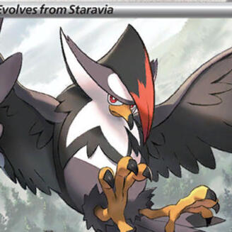 Patches the Staraptor