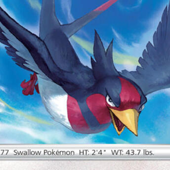 Twig the Swellow